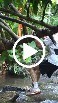 BIB:  <button type="button" onclick="openModal(27513712)" class="btn btn-primary btn-sm float-right" data-toggle="modal" data-target=".modal-high-quality">
                <i class="fa fa-download"></i> Download
                </button>